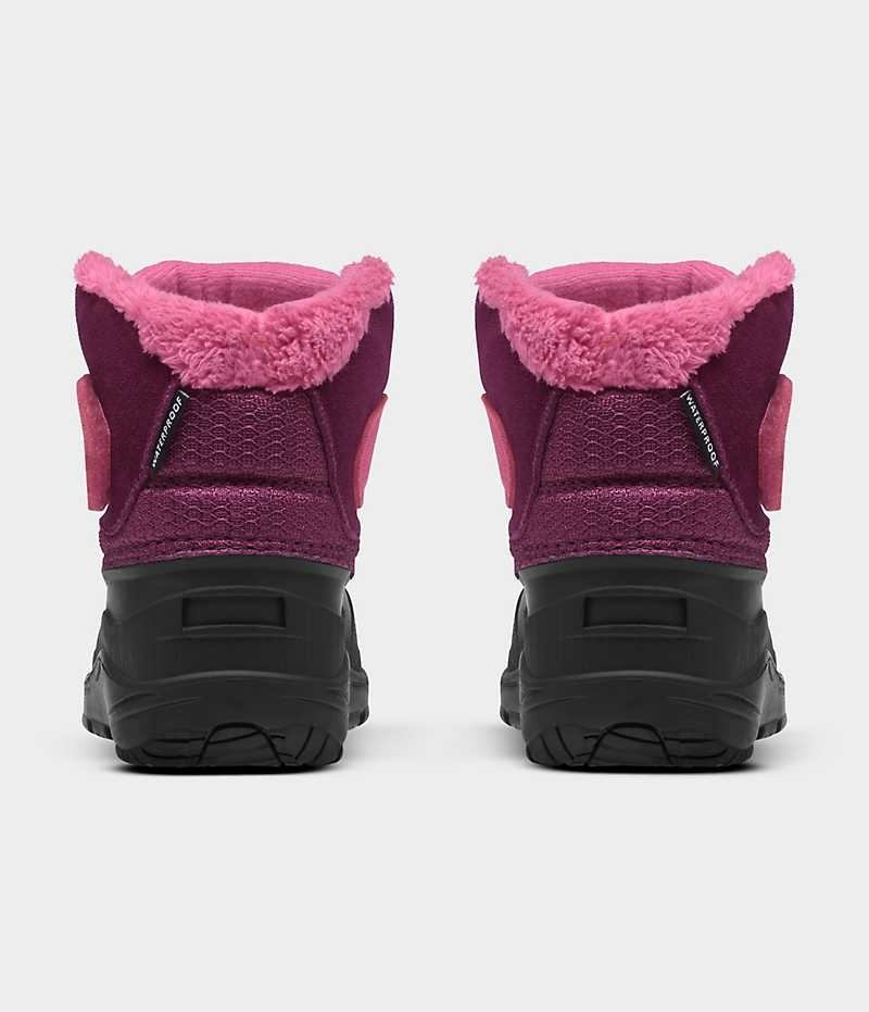 Pink / Black The North Face Alpenglow II Boys' Winter Boots | MALAYSIA TQRJMV