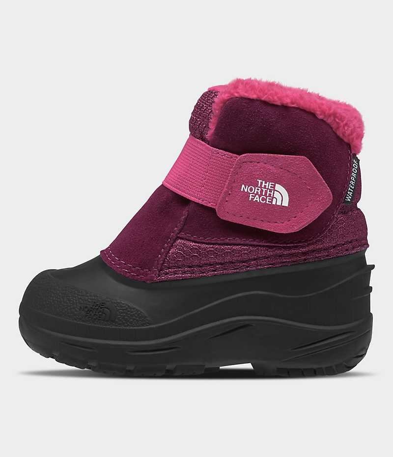 Pink / Black The North Face Alpenglow II Boys\' Winter Boots | MALAYSIA TQRJMV