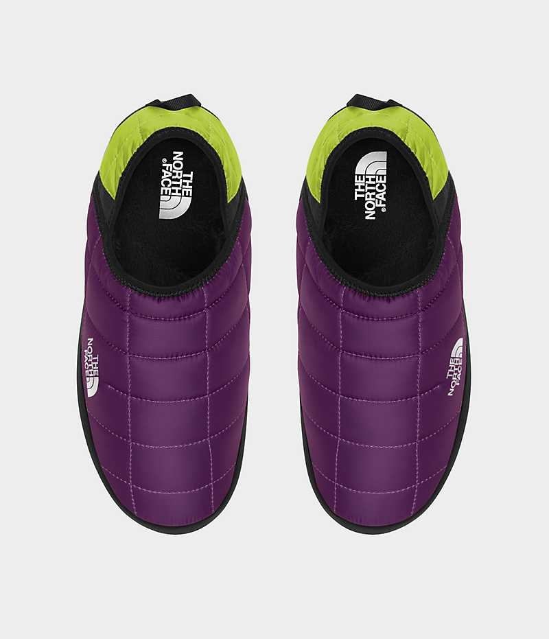 Purple The North Face ThermoBall™ Traction V Women's Mules | MALAYSIA ZPTDKB