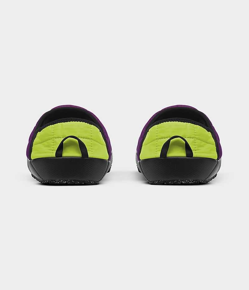 Purple The North Face ThermoBall™ Traction V Women's Mules | MALAYSIA ZPTDKB