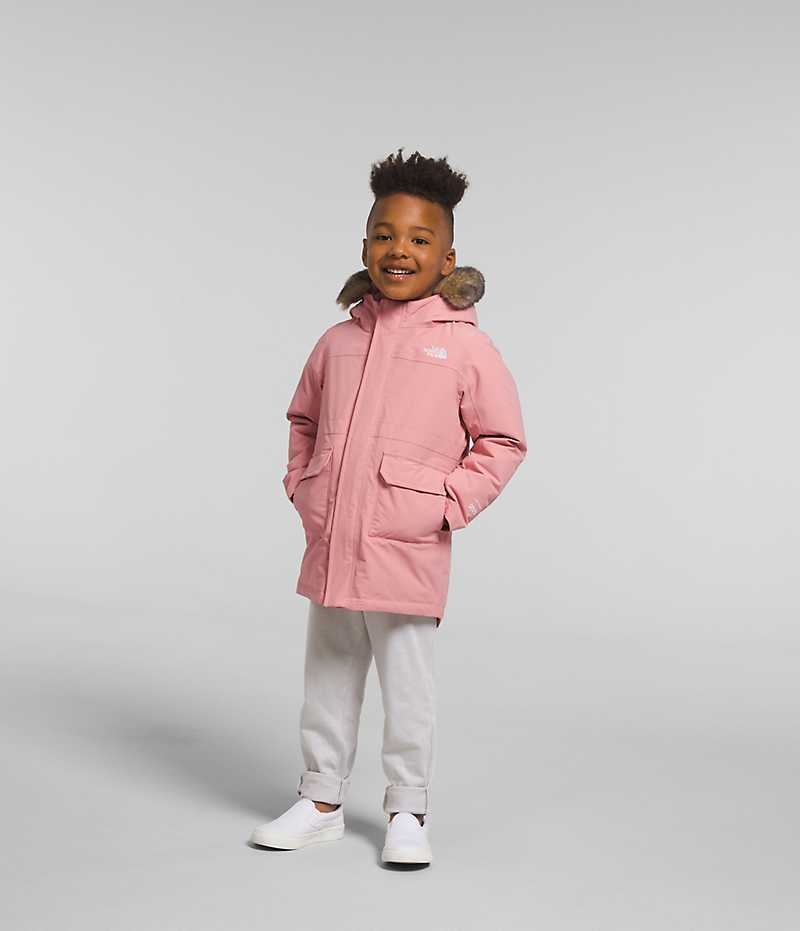 Rose The North Face Arctic Boys\' Coat | MALAYSIA LSIBTZ